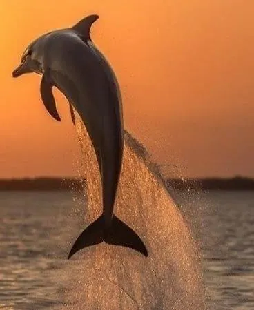 Villa Niky House Drage